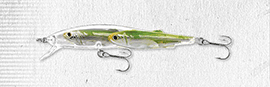live target glass ghost minnow green